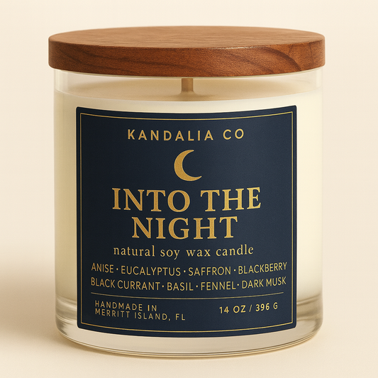 INTO THE NIGHT